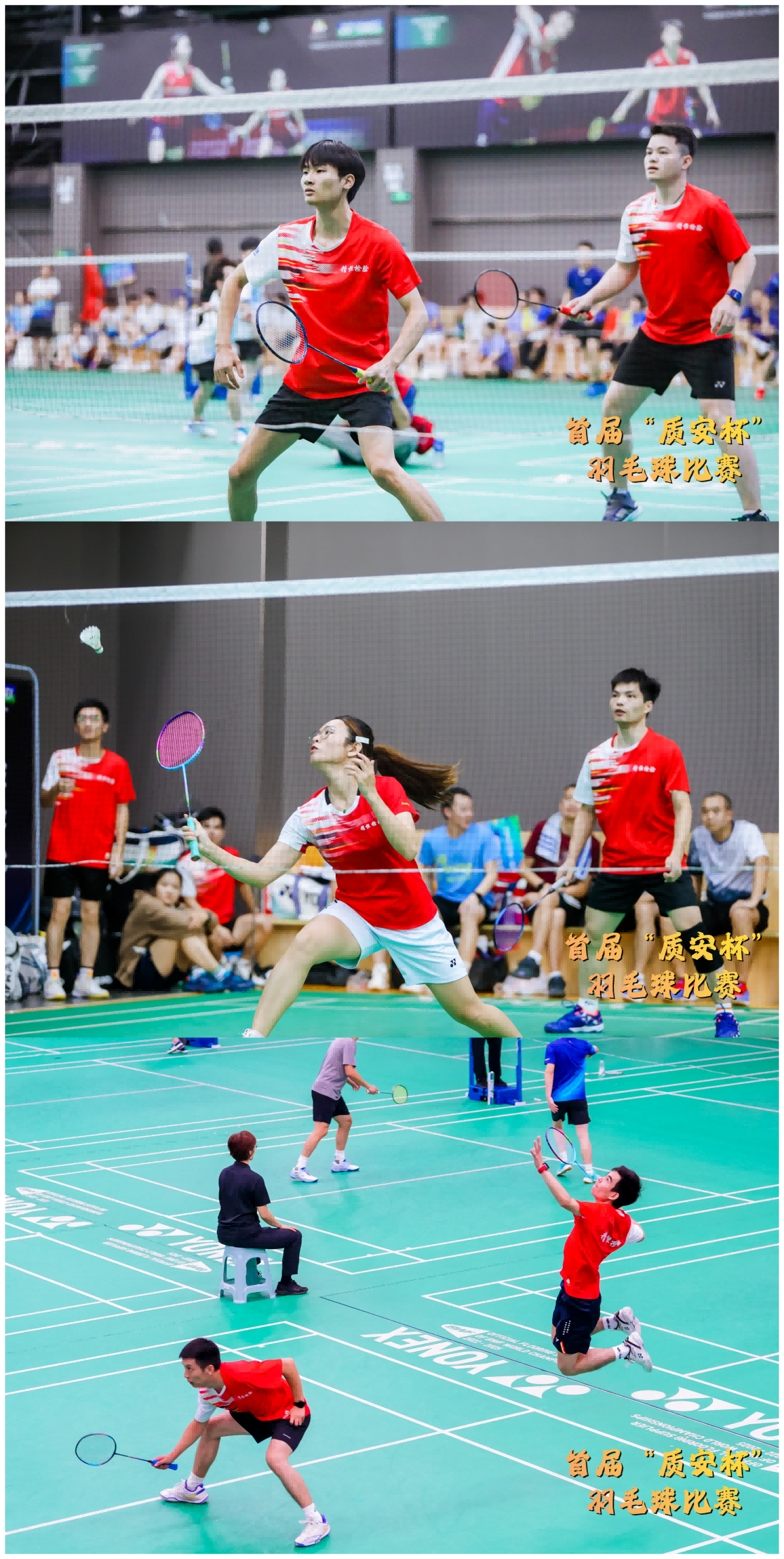 1730861639600671.png 1730860962918472.png